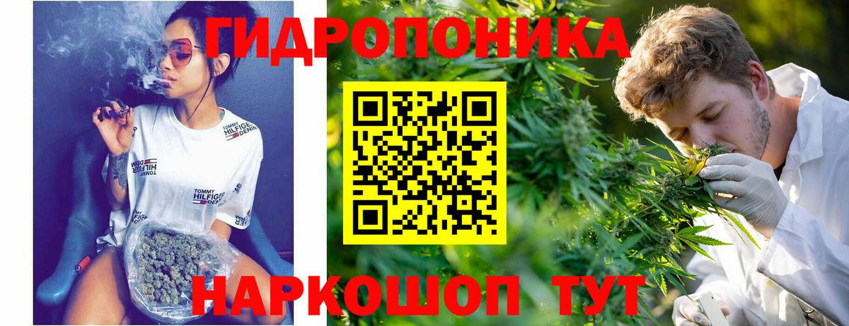Марихуана семена Надым